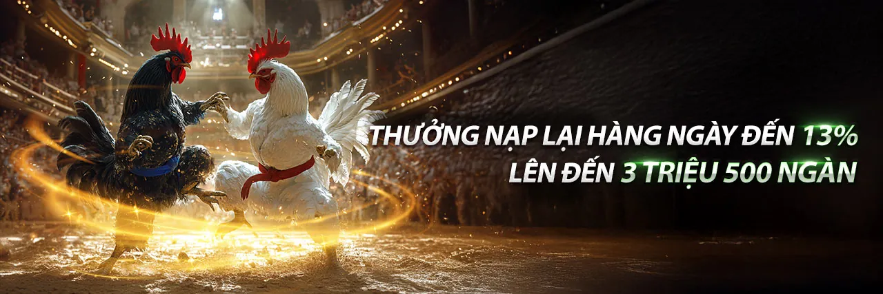 Đá Gà Trực Tuyến OKKING85