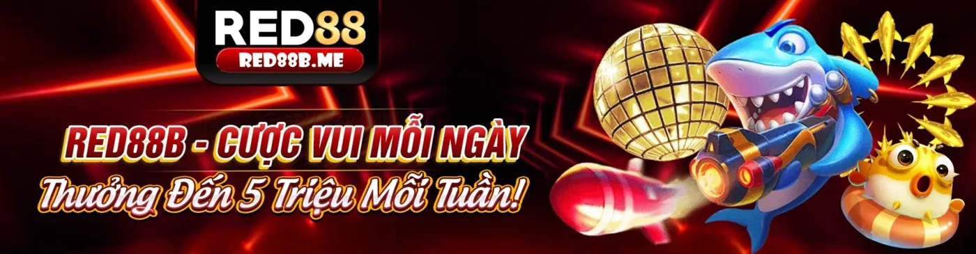Đánh giá trò chơi OKKING85 với các trò chơi hấp dẫn và ưu đãi lớn